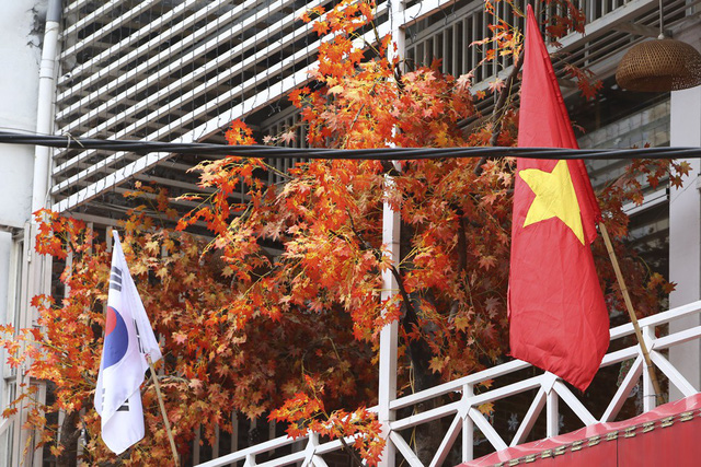 Xuất hiện nhiều lá cờ Hàn Quốc cùng cờ Việt Nam trên đường phố.