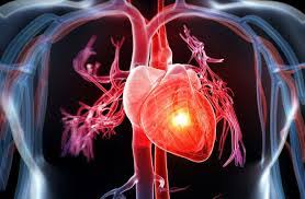 Các bệnh lí liên quan tới tim mạch