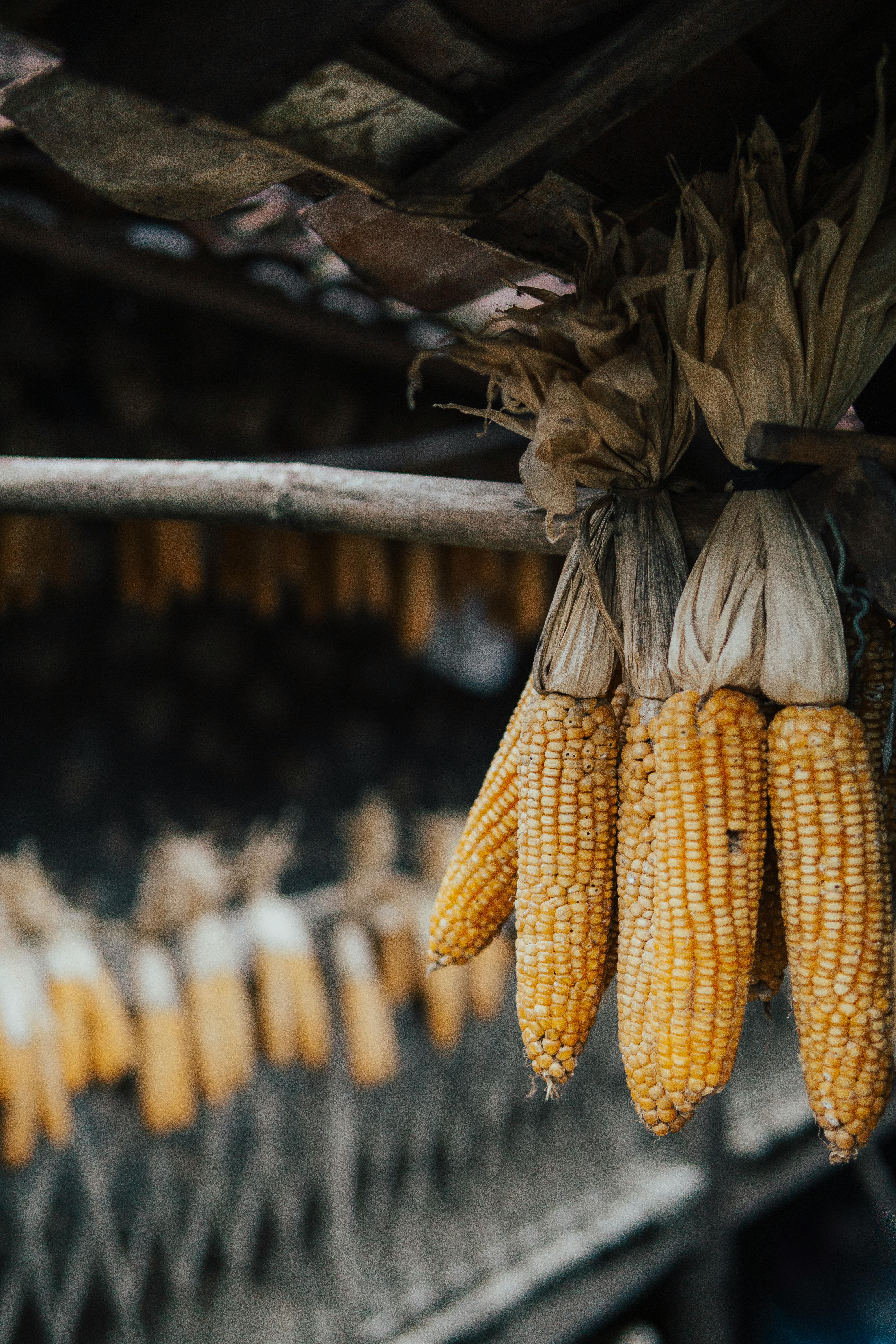 Khám Phá Bảng Xếp Hạng Các Cung Hoàng Đạo Theo Tính Cách